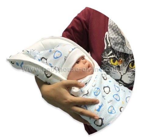 ผ้าห่อตัว-เบาะอุ้ม Palm and Pond