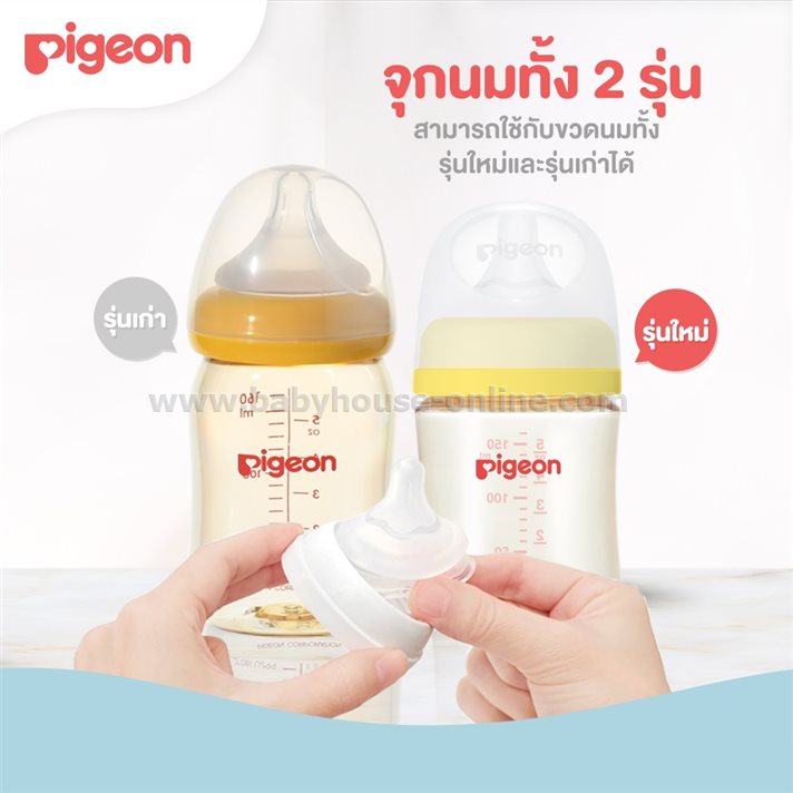 Pigeonจุกนมคอกว้าง SofTouch size L แพค4ชิ้น